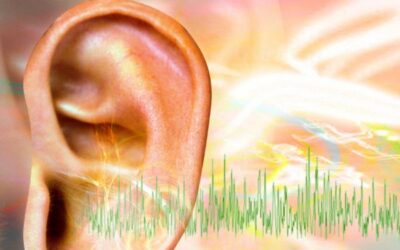 Zvonění v uších (tinnitus) a Schüsslerovy soli