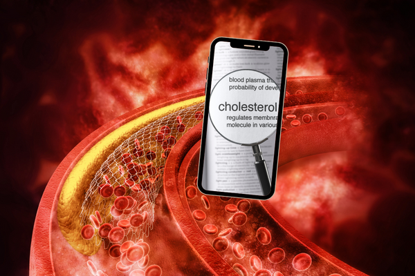 Homeopatika u vysokého cholesterolu