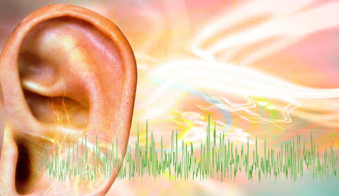 Zvonění v uších (tinnitus) a Schüsslerovy soli