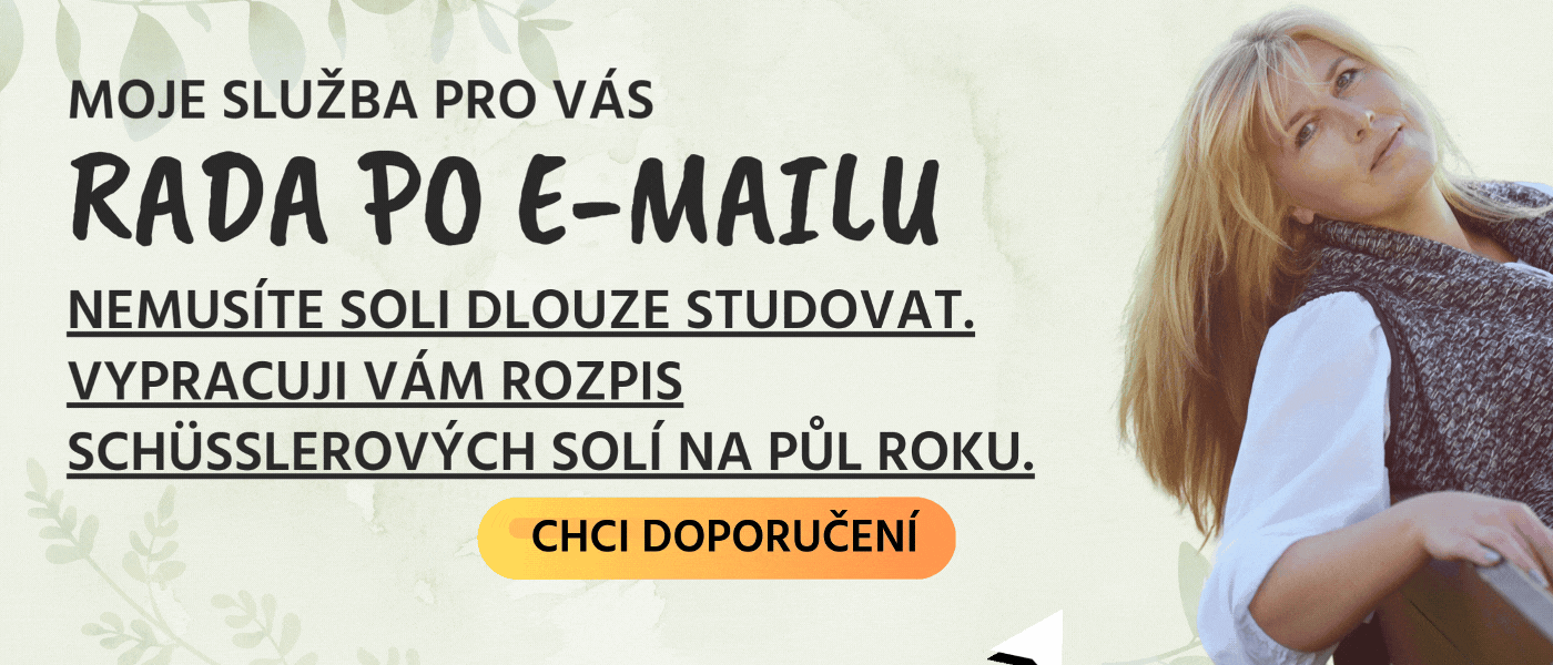 Rada po e-mailu