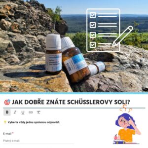 kvíz