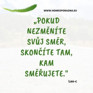 cesta směr