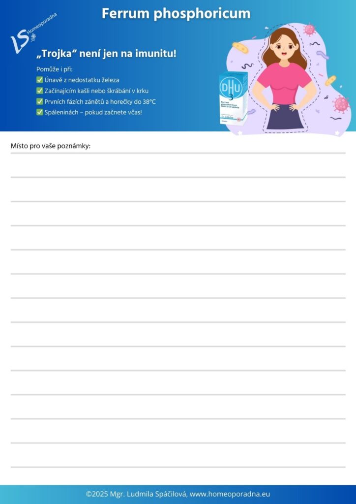 pracovní list1