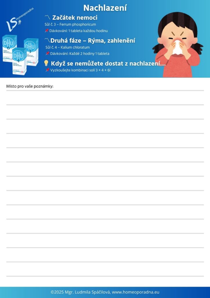 pracovní list2