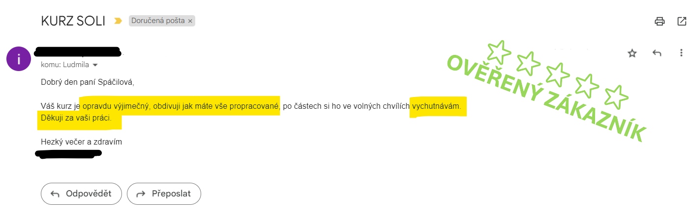 refkurzsoli19
