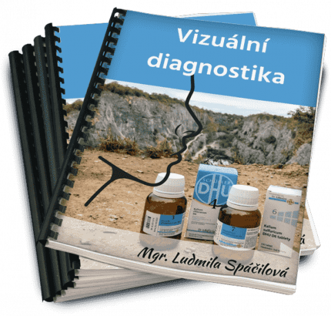 Vizuální-diagnostika-cover-min-480x458